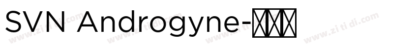 SVN Androgyne字体转换